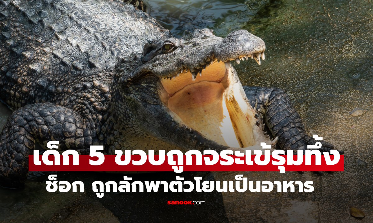 โหดเกินมนุษย์! ชายลักพาตัว ด.ญ. 5 ขวบ ทิ้งให้จระเข้กินทั้งเป็น เซ่นรักไม่สมหวัง