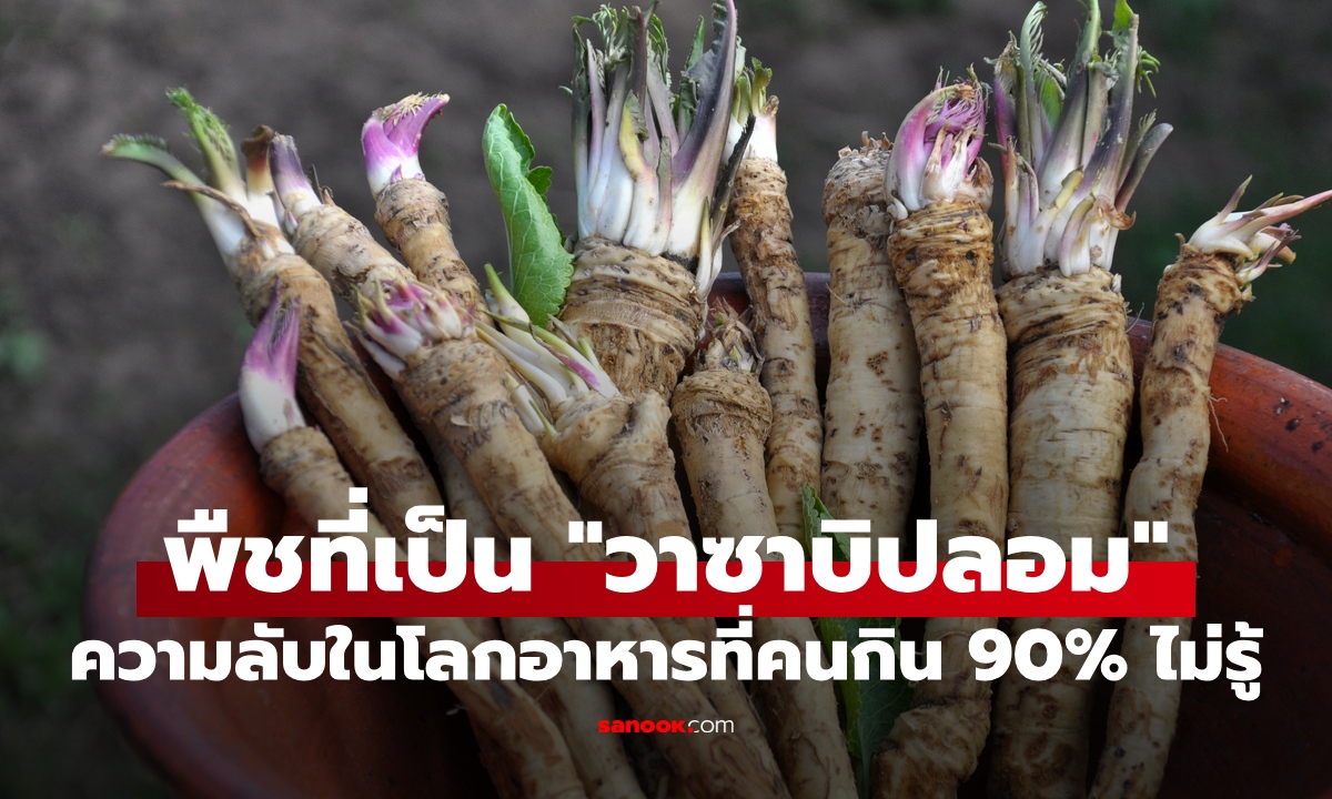เผยความลับ \