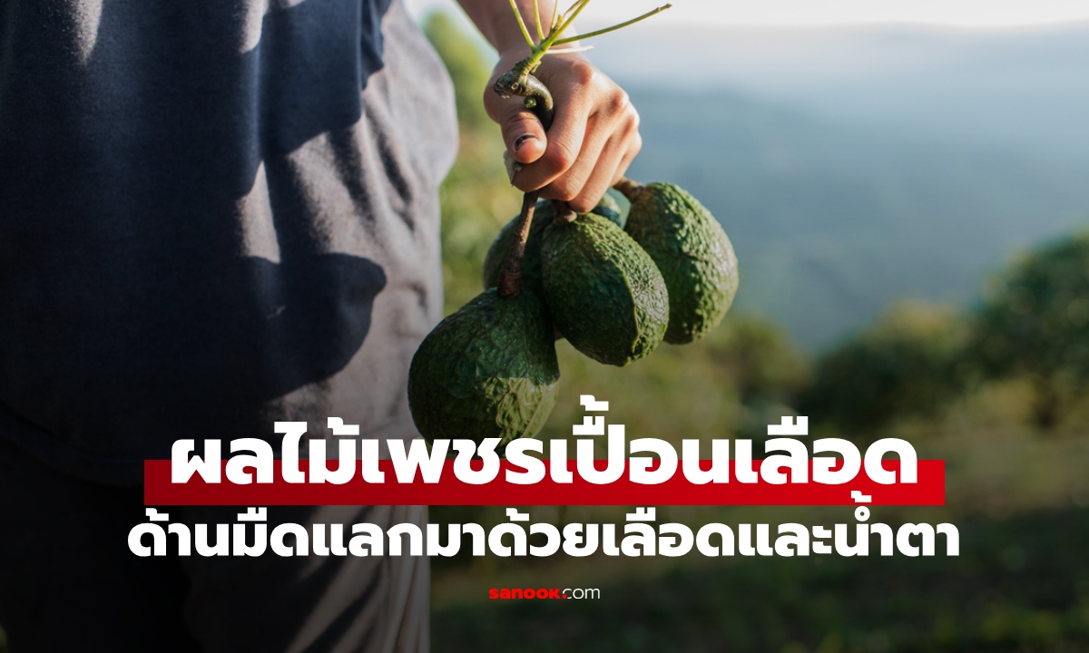 ด้านมืดของอะโวคาโด ฉายา \