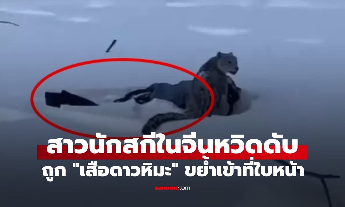 นาทีชีวิต! สาวสกีหวิดดับ เข้าใกล้ \