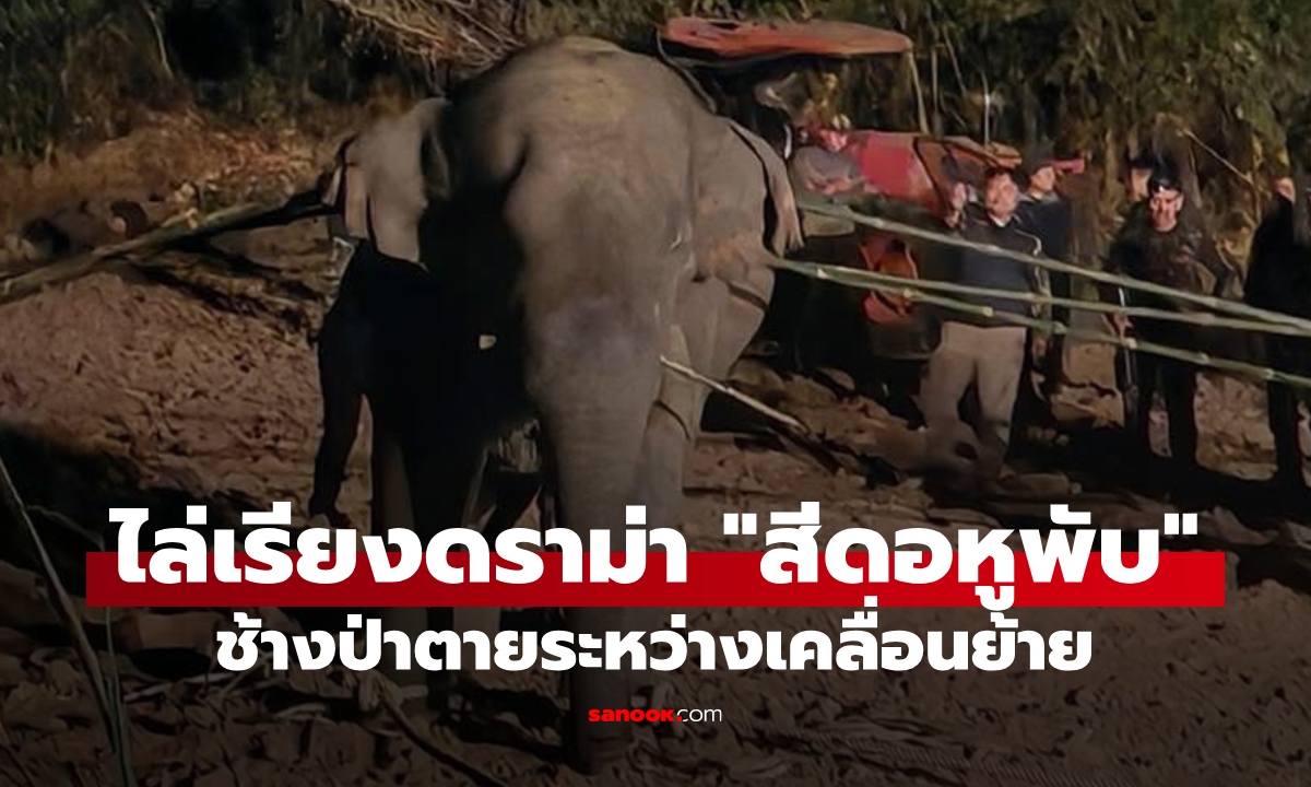 ไล่เรียงดราม่า \