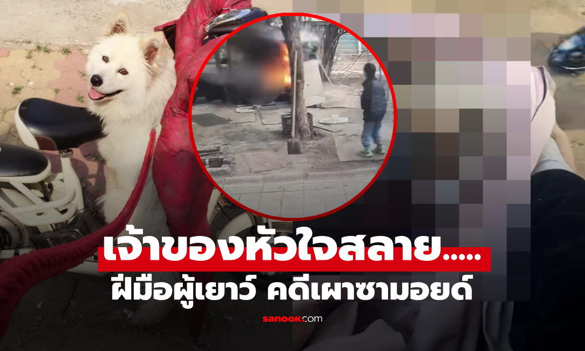 แฉคลิป!! 2 เด็กจีน โยนต้นเพลิงใส่กรง \