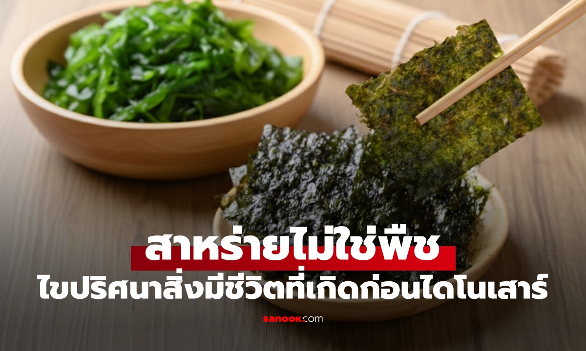 สาหร่ายไม่ใช่พืช! ไขปริศนา "สิ่งมีชีวิต" ที่เกิดก่อนไดโนเสาร์ แล้วเขียวๆ ที่เรากินมันคืออะไร