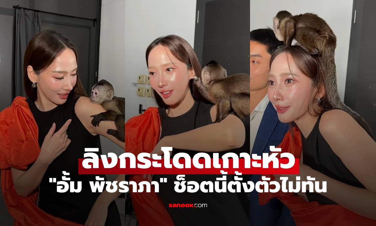 "อั้ม พัชราภา" ช็อกเลย โดนลิงกระโดดเกาะหัว ช็อตนี้ตั้งตัวไม่ทัน