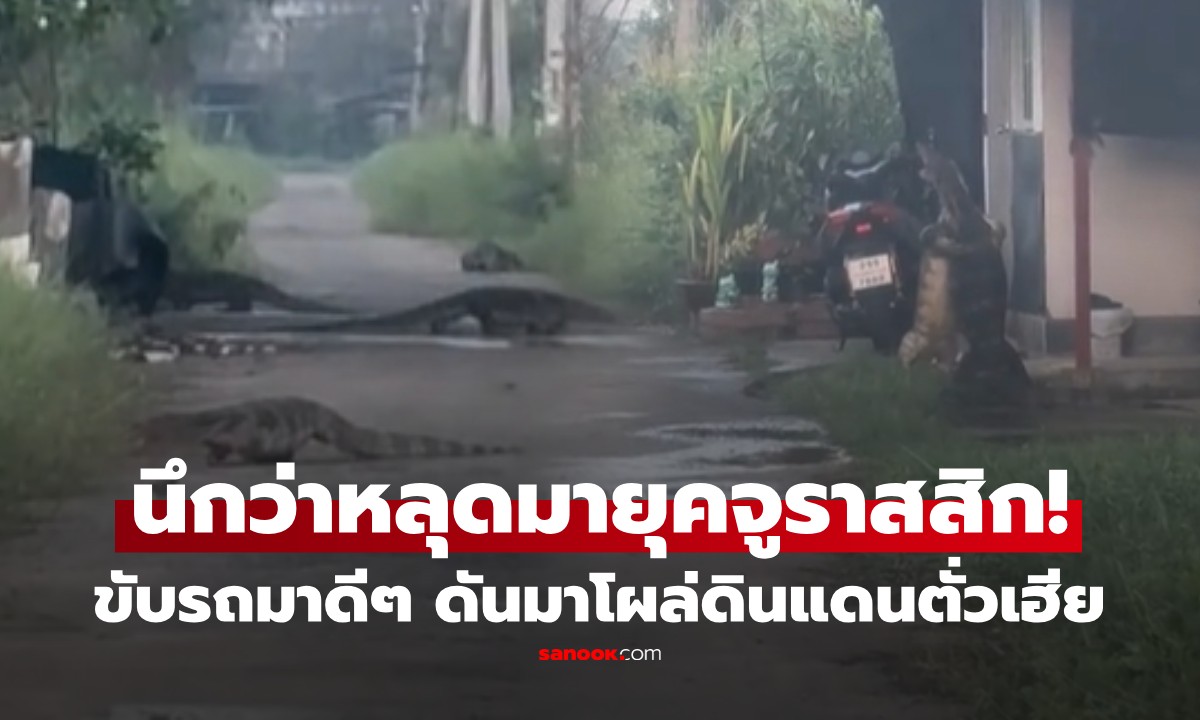 นึกว่ายุคจูราสสิก! สาวขับรถเข้าซอยดังปทุมฯ ผงะพบ "อาณาจักรตั่วเฮีย" เดินยั้วเยี้ยเป็นแก๊ง