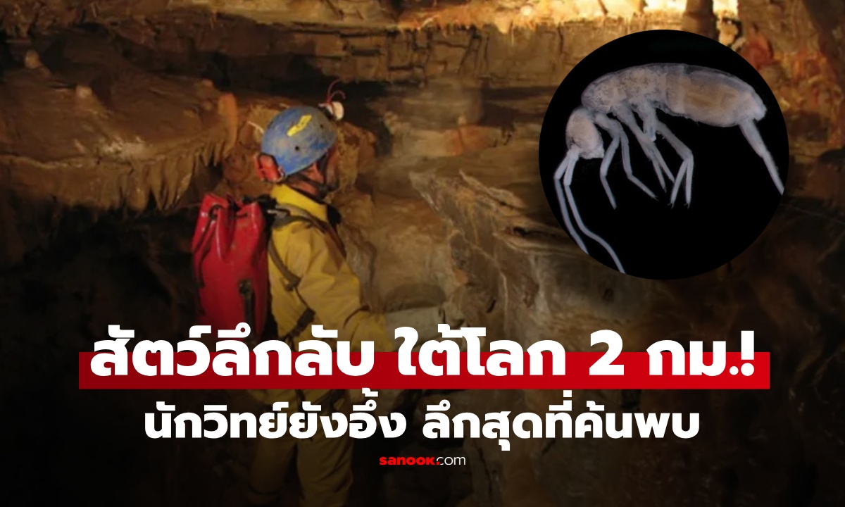 ลึกสุดเท่าที่เคยเจอ! นักวิทย์พบสิ่งมีชีวิตลึกลับ หน้าตาคล้ายกุ้ง ซ่อนอยู่ใต้โลกเกือบ 2 กม.