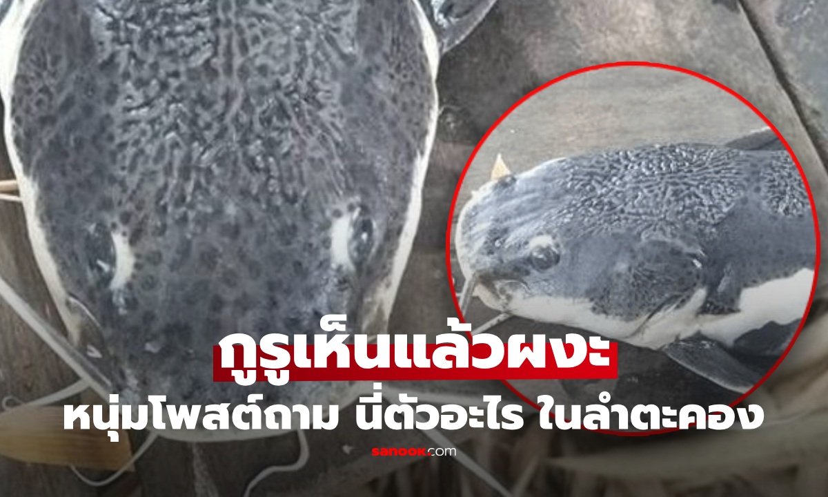 ตัวอะไรโผล่กลางน้ำ! หนุ่มเจอ "สิ่งมีชีวิตปริศนา" ในลำตะคอง โพสต์ถาม กูรูเห็นผงะ มาได้ไง!