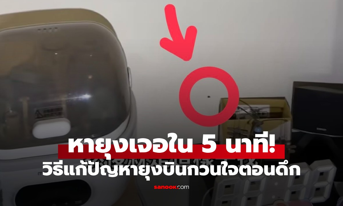 แชร์เทคนิค "ล่ายุง" ฉบับตัวแม่ แค่ใช้ของใกล้ตัวที่ทุกคนมี ไม่ถึง 5 นาทีดับอนาถ