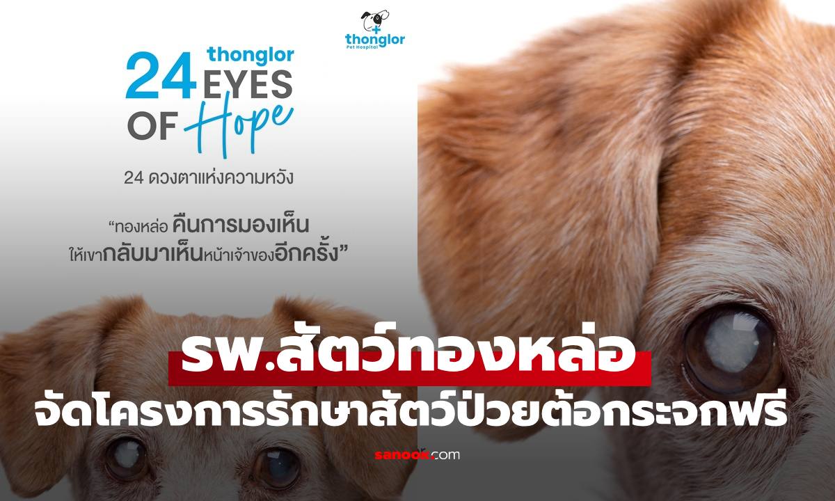 รพ.สัตว์ทองหล่อ เปิดตัวแคมเปญ “24 EYES OF HOPE” มอบแสงสว่างรักษาสัตว์ป่วยต้อกระจกฟรี