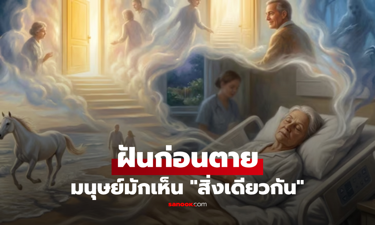 แปลกแต่จริง! "ฝันก่อนตาย" มนุษย์มักเห็นสิ่งเดียวกัน วิจัยเฉลยแล้ว คือภาพของสิ่งใด?