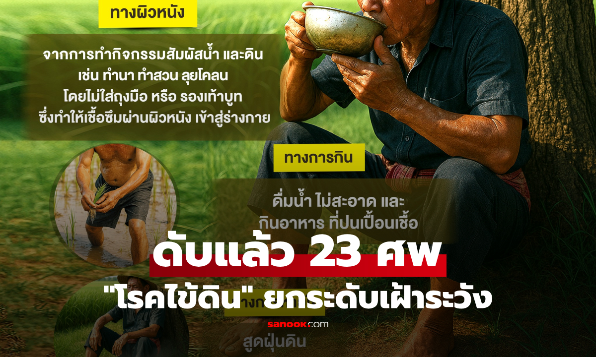 "โรคไข้ดิน" สธ.ยกระดับเฝ้าระวัง พบผู้ป่วย 752 ราย ตายแล้ว 23 ศพ  เช็กอาการด่วนก่อนสาย!