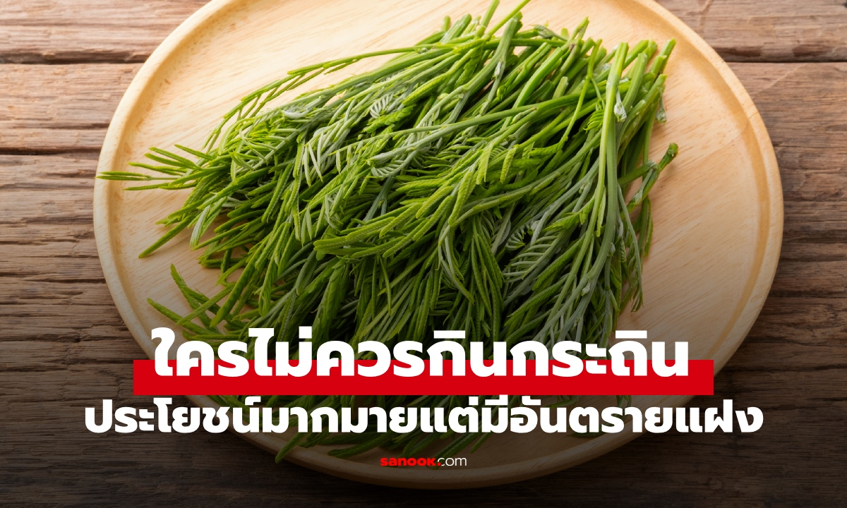 ใครควรเลี่ยง "กระถิน" ผักพื้นบ้านที่คนไทยคุ้นเคย กินผิดเป็นอันตรายต่อสุขภาพ