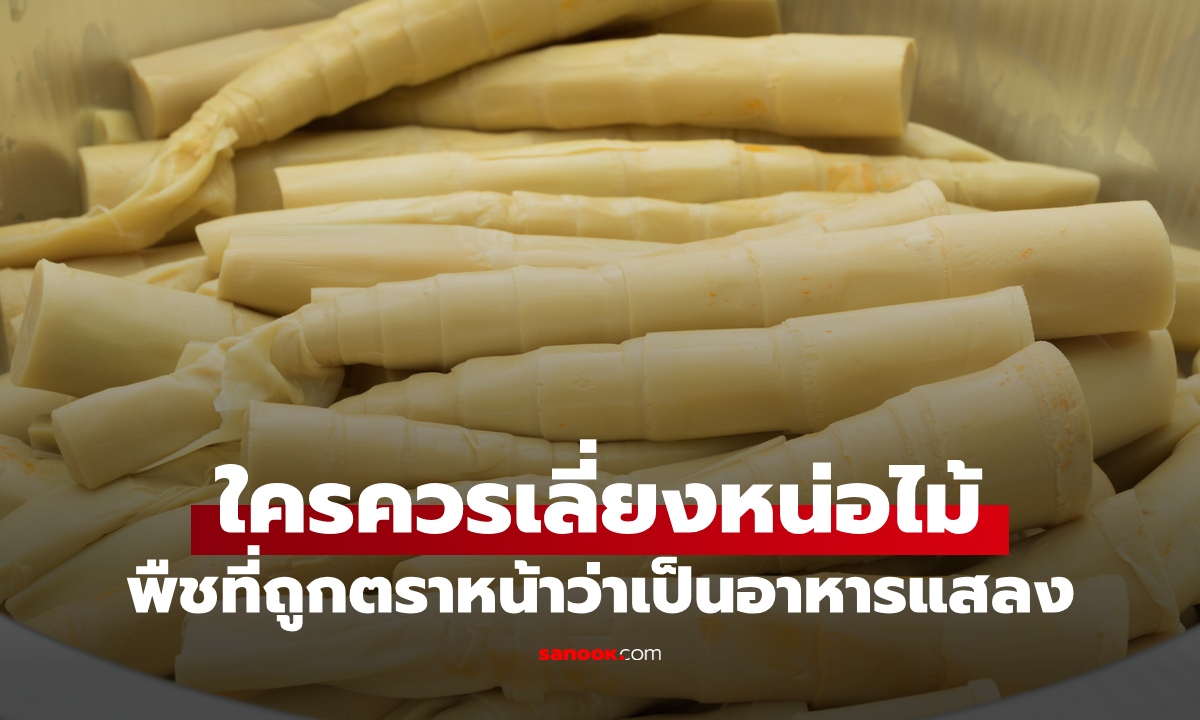 ใครควรเลี่ยง "หน่อไม้" พืชที่ถูกตราหน้าว่าเป็นอาหารแสลง วิธีกินไม่ให้อันตราย