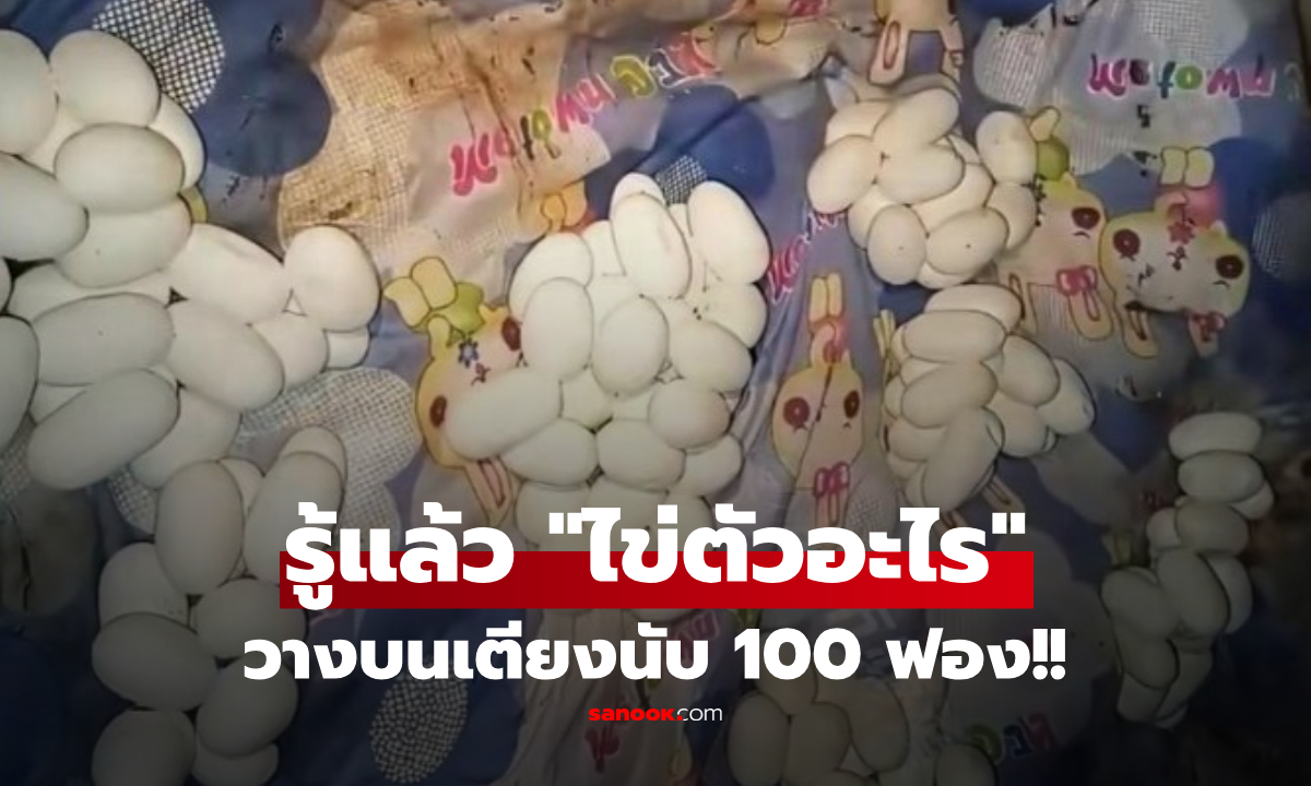 นับ 100 ฟอง!!! หนุ่มทิ้งบ้านไปครึ่งปี โดนวางไข่เต็มเตียง สืบจนรู้ "ตัวแม่" ยิ่งช็อกสุดๆ