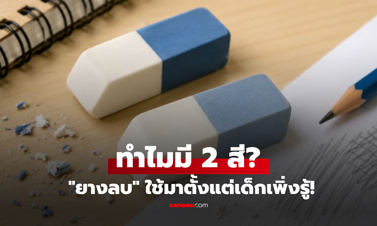 ทำไมยางลบถึงมีสองสี? หลายคนใช้  "ฝั่งสีน้ำเงิน" ผิดมาหลายสิบปี เฉลยวัตถุประสงค์จริง!