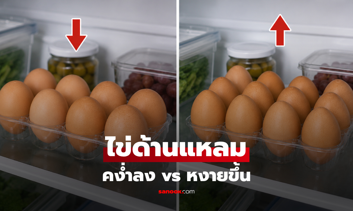 คนไม่ค่อยรู้! 4 ข้อ "เก็บไข่" คว่ำผิดด้าน-แช่ผิดจุด นักโภชนาการเตือนแบคทีเรียพุ่ง