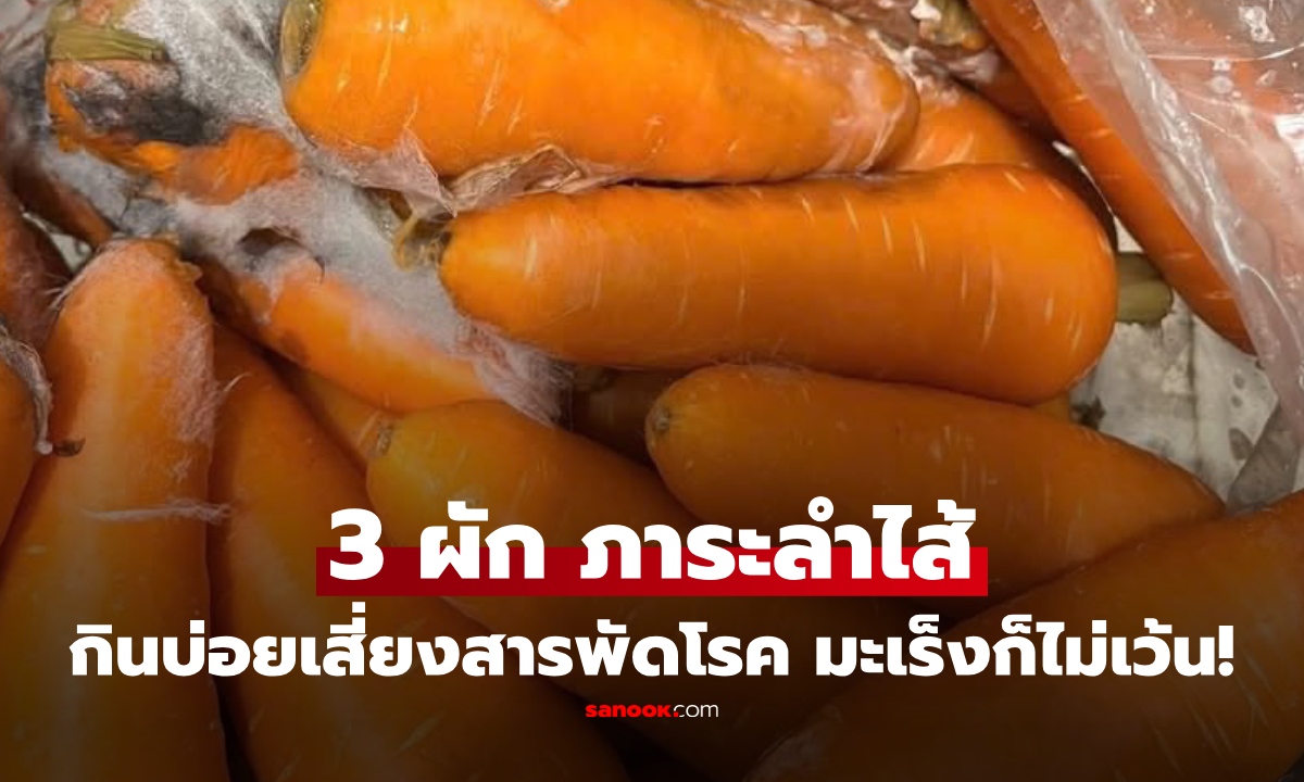 ผักกินดี แต่ 3 ผักนี้ ต้องระวัง! กินผิดเพิ่มภาระลำไส้ไม่รู้ตัว ข้อ 1 ฮิตมาก คนยังคิดว่าดี