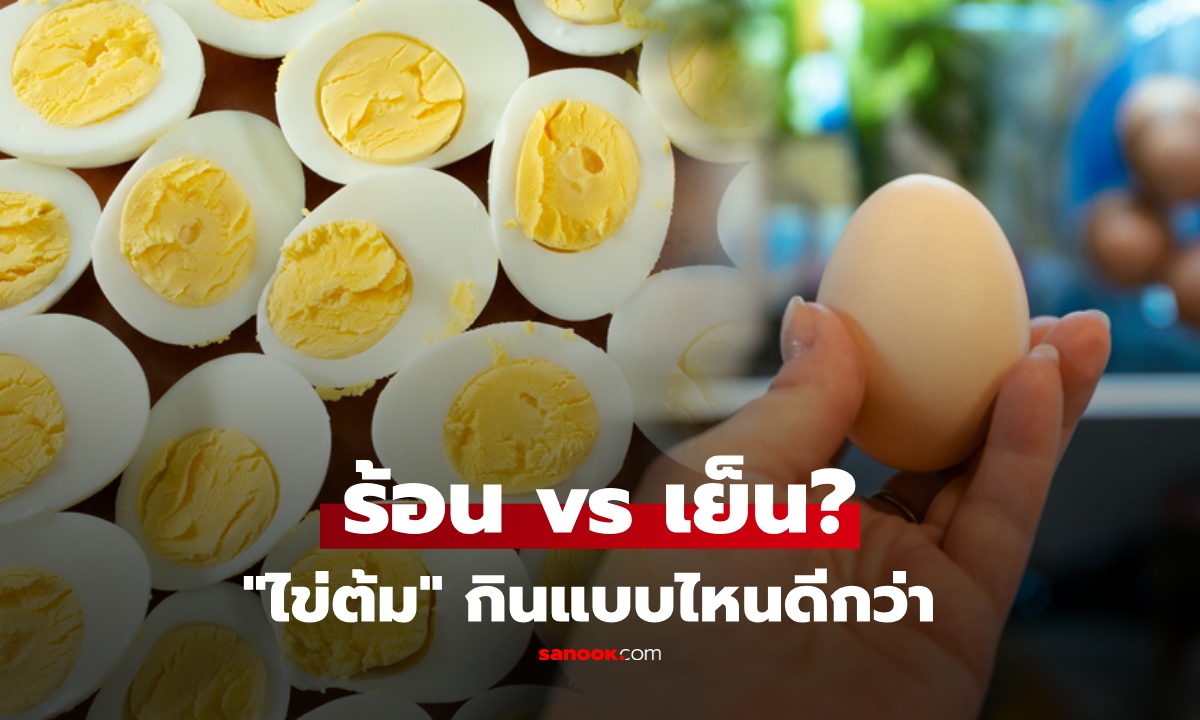 "ไข่ต้ม" กินร้อน หรือ เย็น ดีกว่ากัน? ดูดซึมโปรตีนได้ต่างกันไหม หลายคนยังเข้าใจผิด