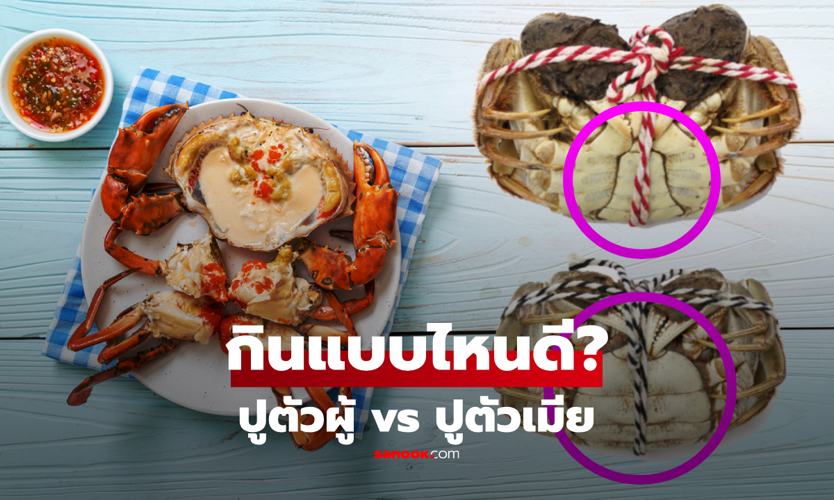 ปูตัวผู้ vs ปูตัวเมีย แบบไหนอร่อยกว่า? เผยเคล็ดลับดูโคตรง่าย แต่คนกินอาจไม่ค่อยรู้!