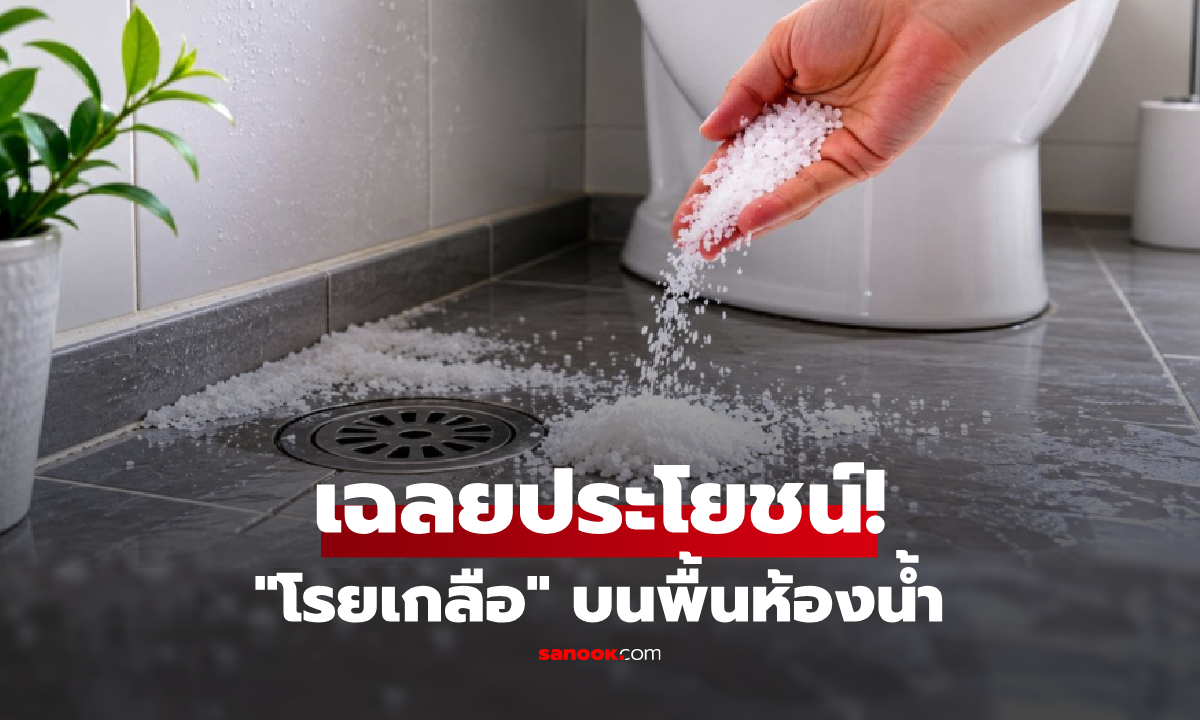 การเท "เกลือ" ลงท่อและพื้นห้องน้ำ ปล่อยทิ้งไว้จะมีผลอย่างไร? กูรูเฉลย 5 สิ่งสุดว้าว!