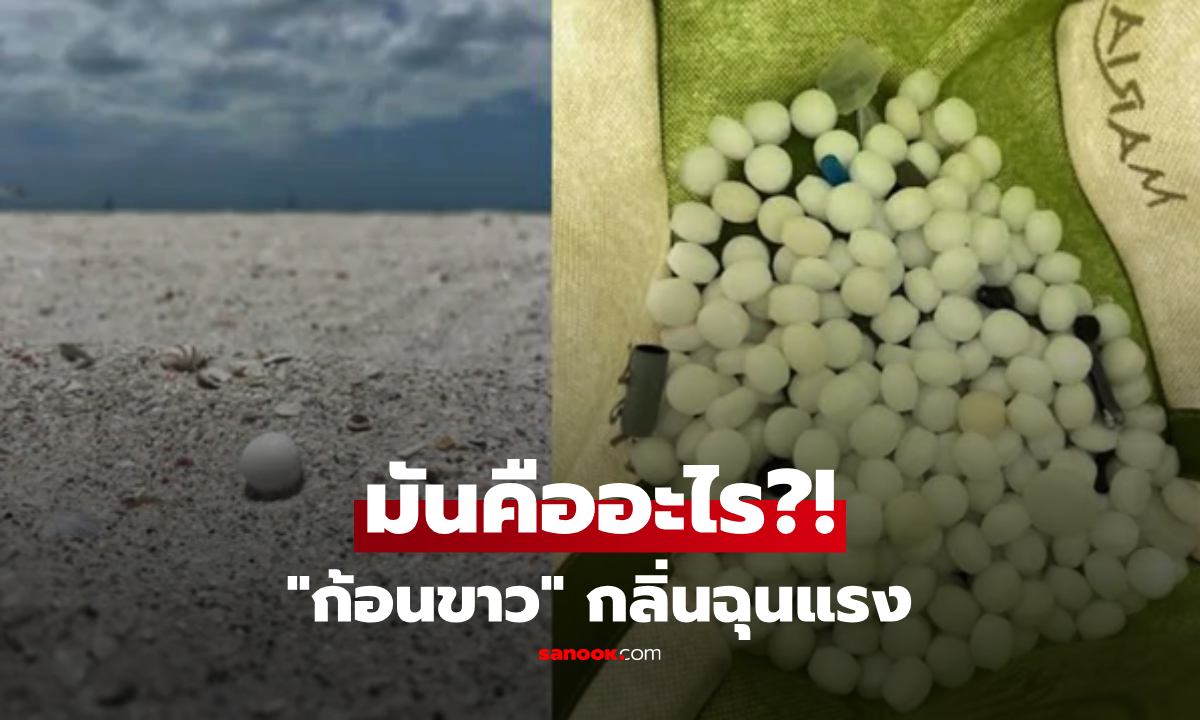 เอะใจกลิ่นแปลกๆ บนชายหาด ชาวบ้านผงะเจอ "ก้อนขาว" กระจายเกลื่อนนับพันเม็ด!