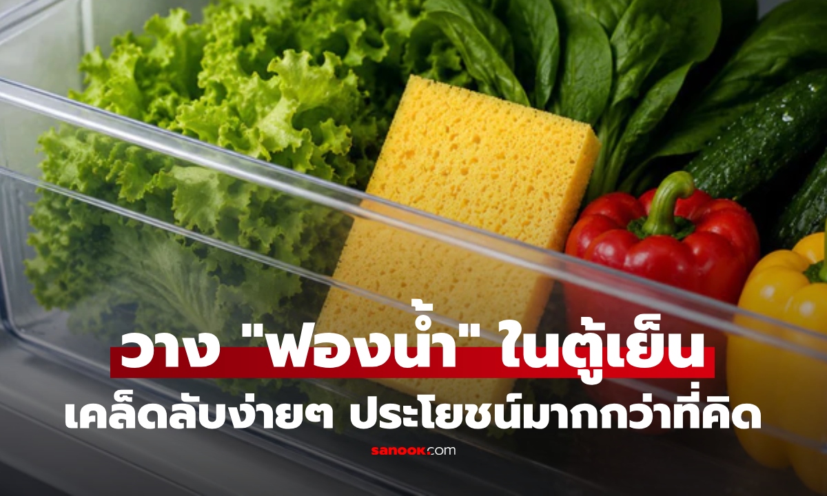 ไม่ได้มีดีแค่ล้างจาน! "ฟองน้ำ" ไว้ในช่องผักตู้เย็น ช่วยอะไร? เคล็ดลับแม่บ้าน ประโยชน์มากกว่าที่คิด