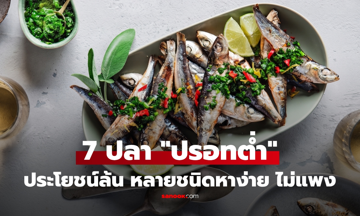 อันดับ 1 จิ๋วแต่เจ๋ว! เปิด 7 ปลา "สารปรอทต่ำ" กูรูแนะให้ซื้อ ประโยชน์ล้น ราคาไม่แรง
