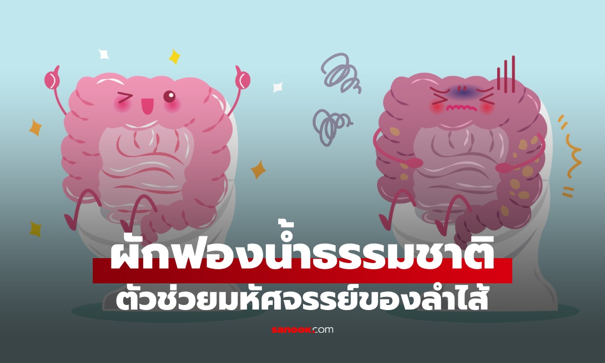 ผักพื้นบ้านที่เป็น "ฟองน้ำธรรมชาติ" ตัวช่วยมหัศจรรย์ของลำไส้ ขับถ่ายคล่องท้องไม่ผูก