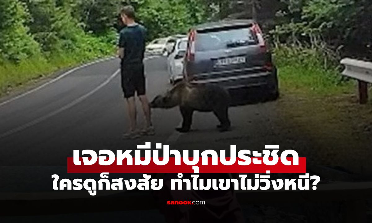 คลิปนาทีชีวิต หนุ่มถูก "หมีป่า" บุกประกบขาแต่ยืนเฉย ใครดูก็สงสัย ทำไมไม่วิ่งหนี?