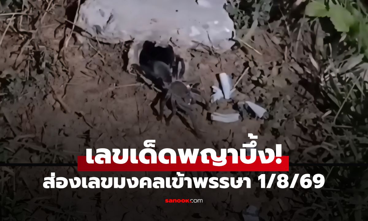 เลขเด็ดพญาบึ้ง! กระท่อมละสังขาร "หลวงปู่สรวง" คาบเลขเด็ดรับเข้าพรรษา งวด 1/8/69