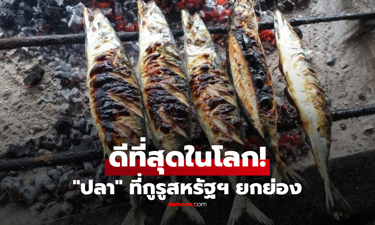 สื่อสหรัฐฯ อวยยศ "ปลาที่ดีที่สุดในโลก" โปรตีนสูง-ไขมันดีเด่น แถมเสี่ยงปรอทต่ำ!