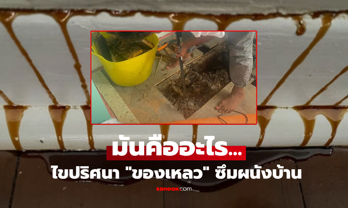ผนังบ้านมี "ของเหลว" ไหลออกมาไม่หยุด คู่รักรื้อฝ้าพิสูจน์ สะพรึงสิ่งที่ซ่อนอยู่ข้างใน!