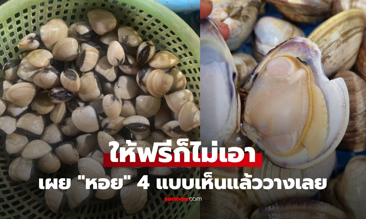 สายหอยควรรู้! แม่ค้าเตือน "หอย" 4 แบบ "อย่าซื้อ" เผยจุดสังเกต เห็นแล้ววางคืนทันที