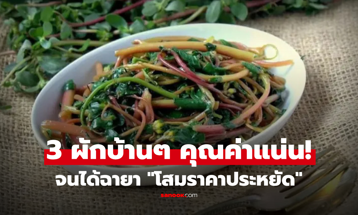 เปิดชื่อ 3 ผักพื้นบ้าน ได้ฉายา “โสมราคาประหยัด” ราคาถูกแต่สารอาหารแน่น ทั้งโปรตีน แร่ธาตุ โอเมก้า 3