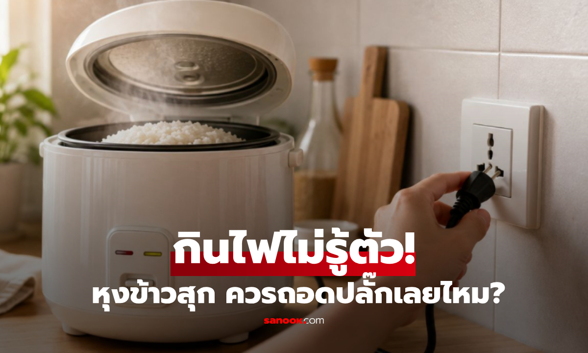 หุงข้าวสุกแล้วควร "ถอดปลั๊ก" ทันทีไหม? ทำผิดข้าวแข็งกระด้าง-กินไฟไม่รู้ตัว!
