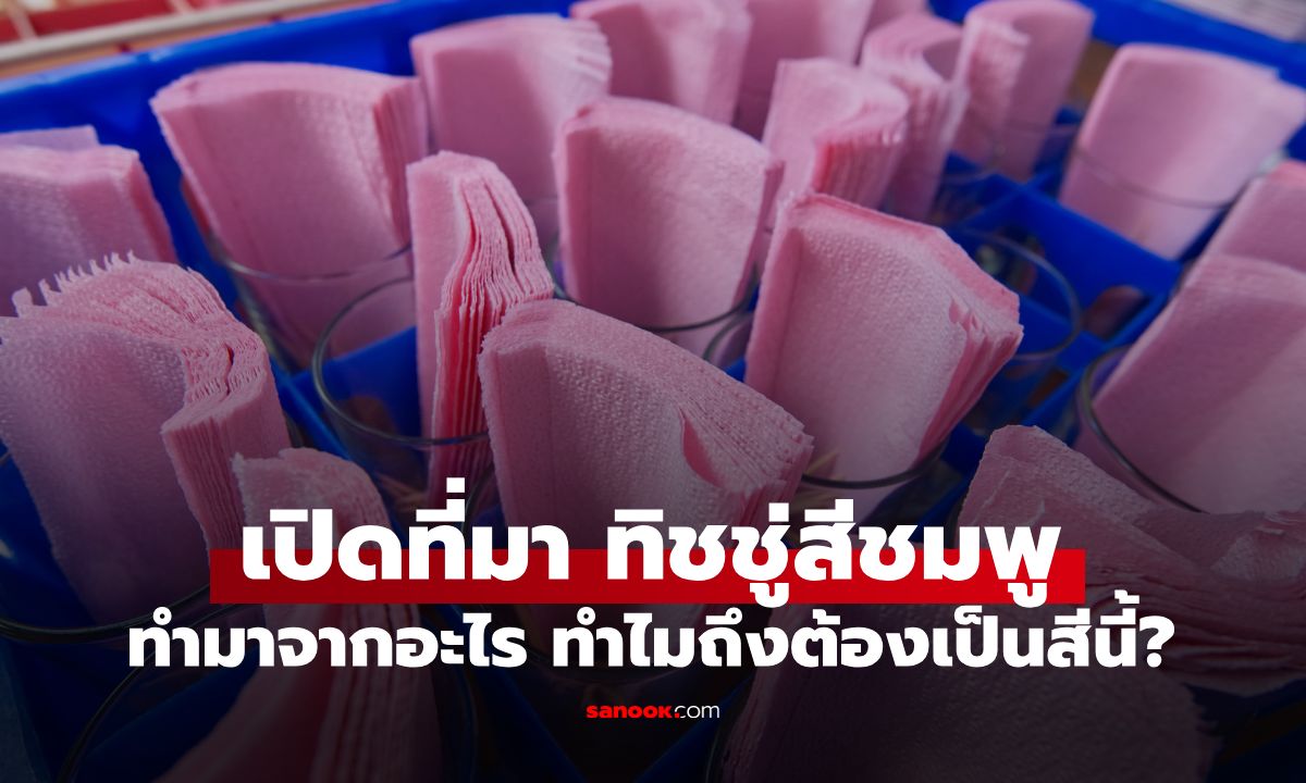 ใช้มาตั้งนานเพิ่งรู้! "ทิชชู่สีชมพู" ตามร้านอาหาร ทำมาจากอะไร ทำไมต้องเป็นสีนี้?