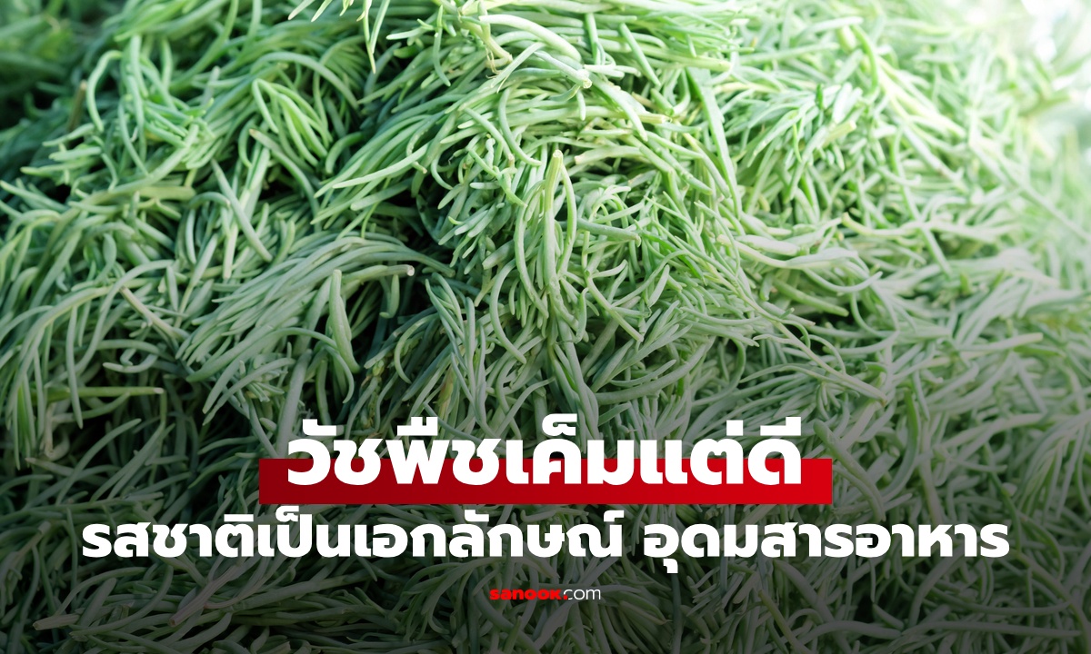 วัชพืชพื้นบ้าน "เค็มแต่ดี" รสชาติเป็นเอกลักษณ์ อัดแน่นทั้งใยอาหาร วิตามิน แร่ธาตุ
