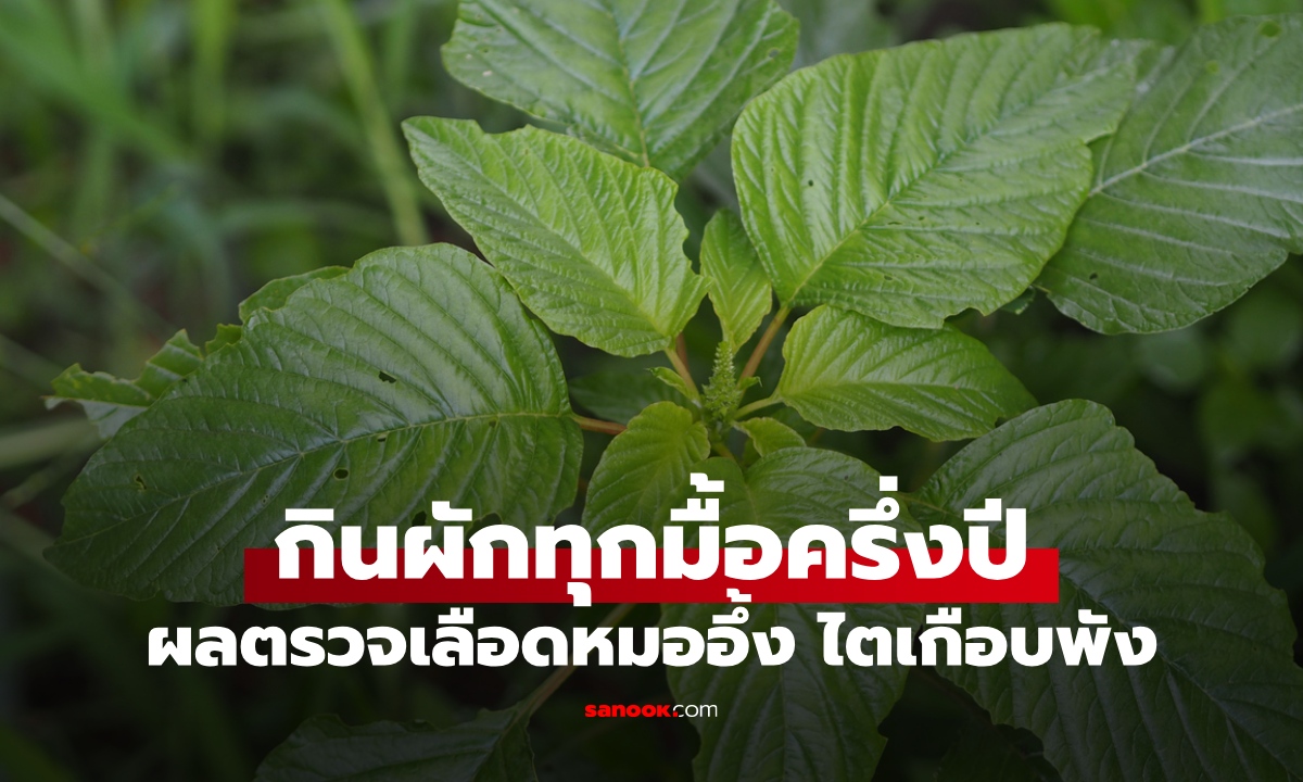 สาวรักสุขภาพ กินผัก 1 ชนิดทุกมื้อนานครึ่งปี ผลตรวจเลือดหมอแทบกุมขมับ ไตเกือบพัง