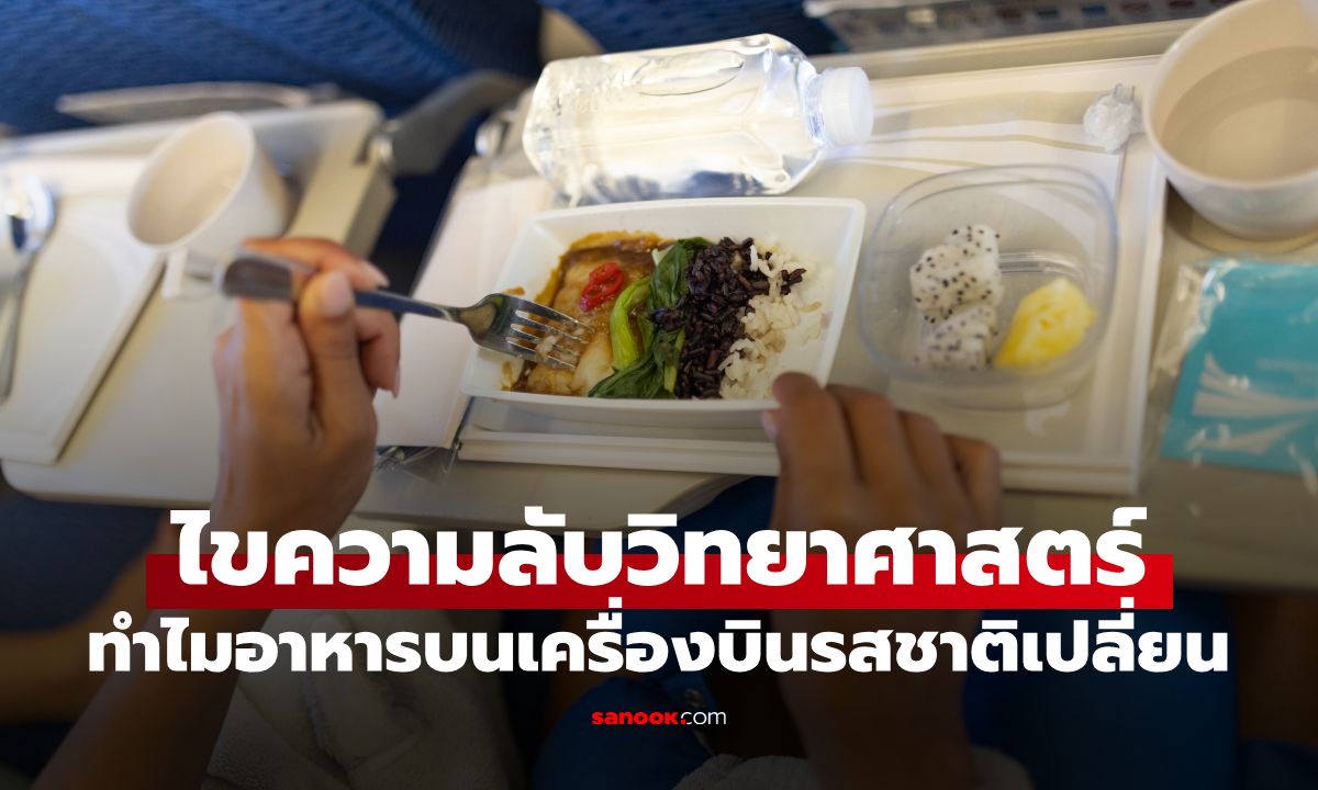 ทำไม "อาหารบนเครื่องบิน" รสชาติเปลี่ยนไป? รสชาติไหน "อร่อยขึ้น" เมื่ออยู่สูง 30,000 ฟุต