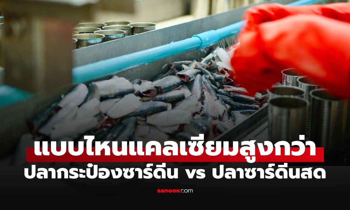 ปลากระป๋องซาร์ดีน vs ปลาซาร์ดีนสด แบบไหนแคลเซียมสูงกว่า? แต่ใครบ้างที่ไม่ควรกิน