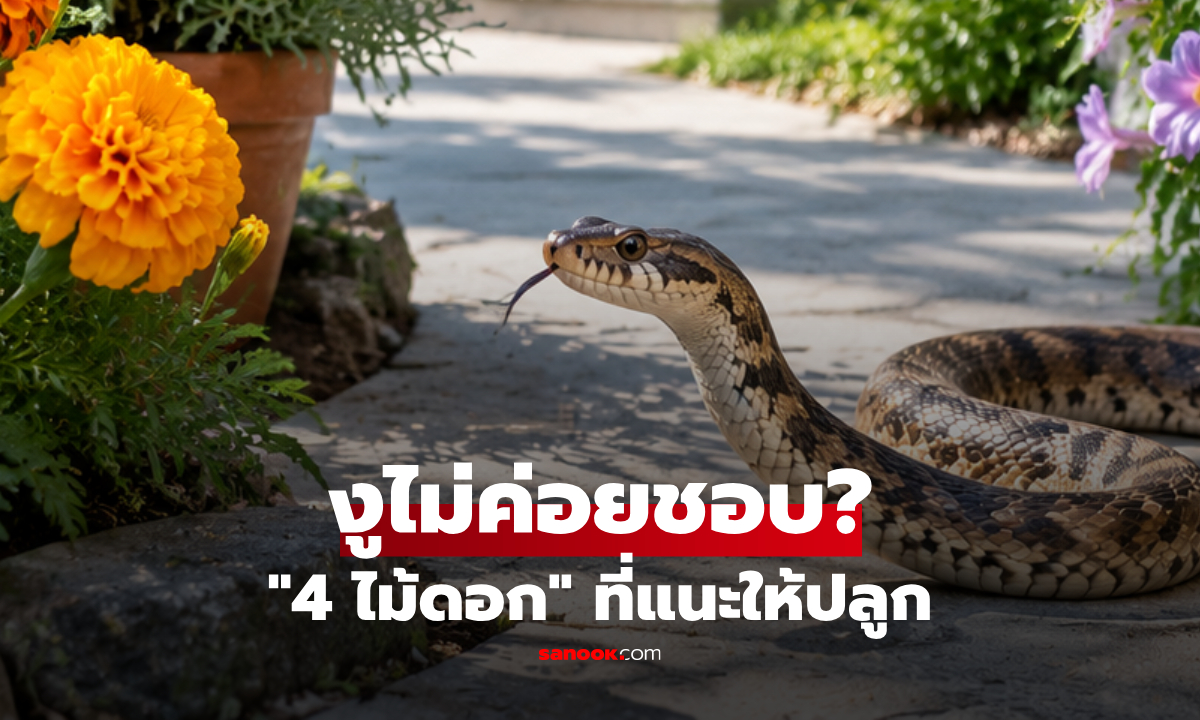 4 ไม้ดอก ที่คนเชื่อว่า "งูไม่ชอบ" แนะปลูกไว้รอบบ้าน ทั้งสวยและช่วยลดความเสี่ยง จริงหรือ?!