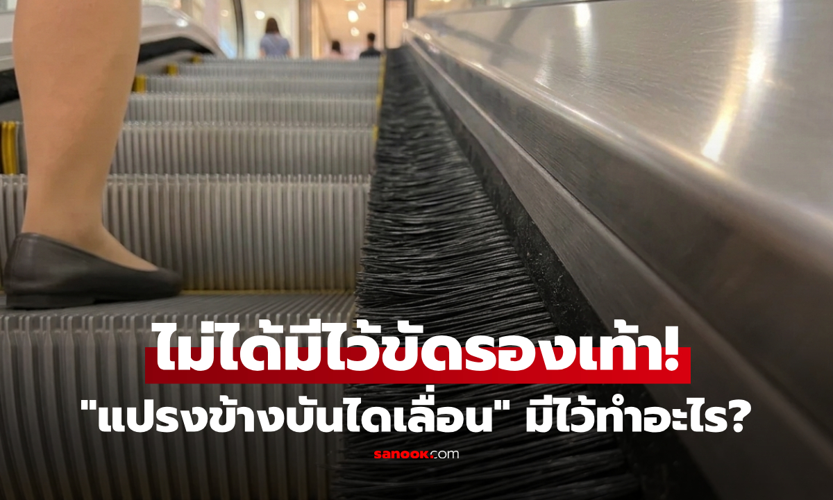 ไม่ได้ไว้ขัดรองเท้า! "แปรงข้างบันไดเลื่อน" มีไว้ทำอะไร? ที่แท้สำคัญมาก อย่าไปใกล้เด็ดขาด