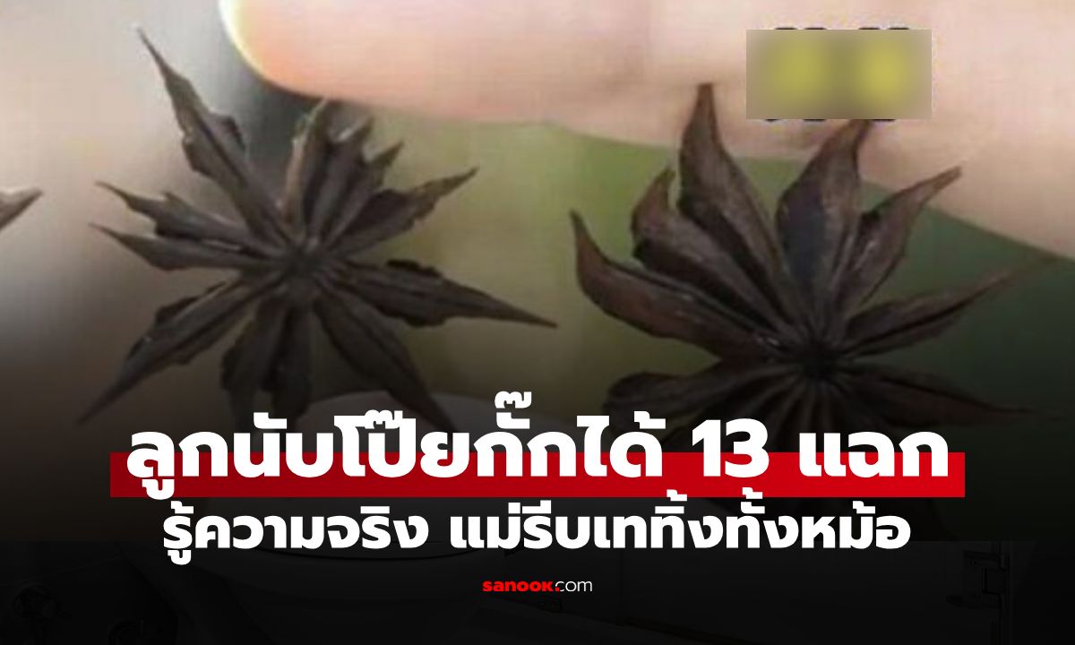 กินไปครึ่งหม้อเพิ่งรู้! ลูกนับ "โป๊ยกั๊ก" เจอ 13 แฉก ผงะไม่ใช่เครื่องเทศ แต่เป็นพืชพิษ