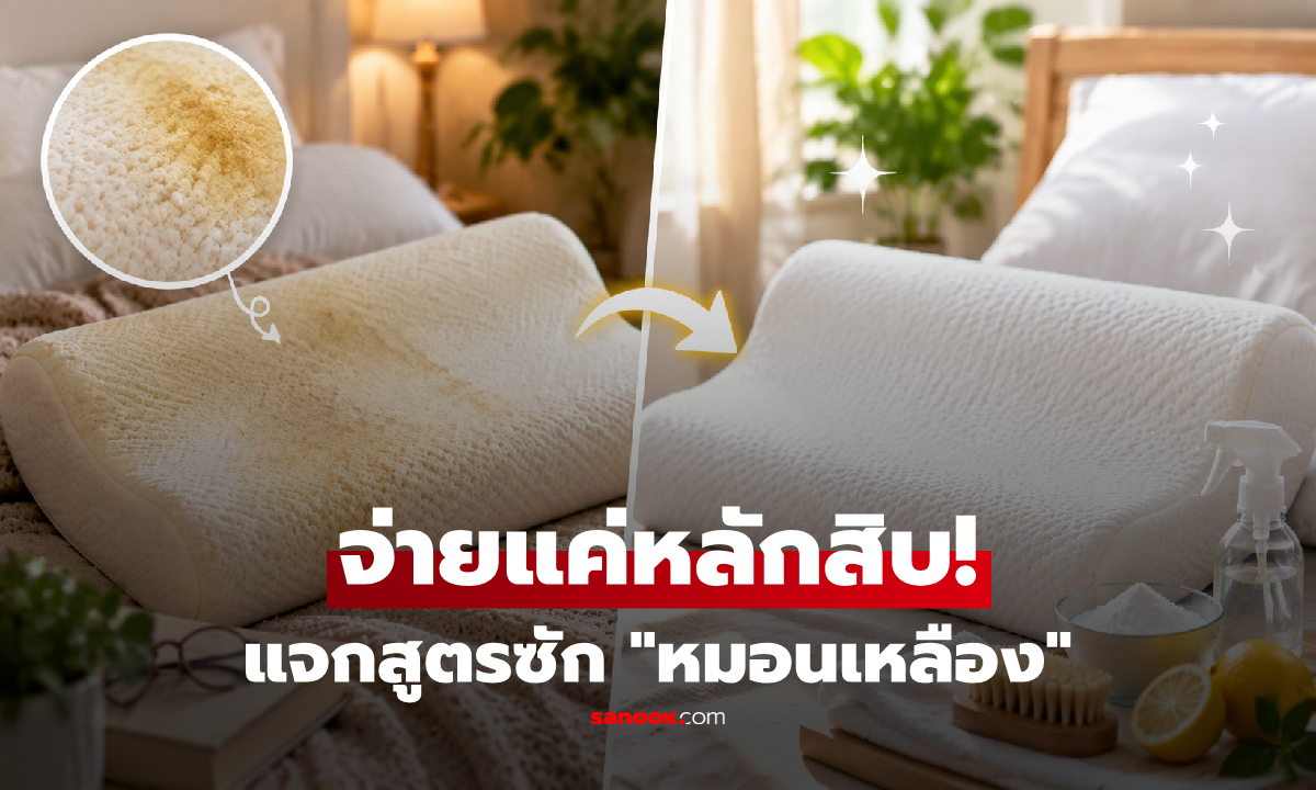 แจกสูตรซัก "หมอนเหลือง" ให้กลับมาขาวสะอาด ด้วยของใช้หลักสิบในบ้าน!