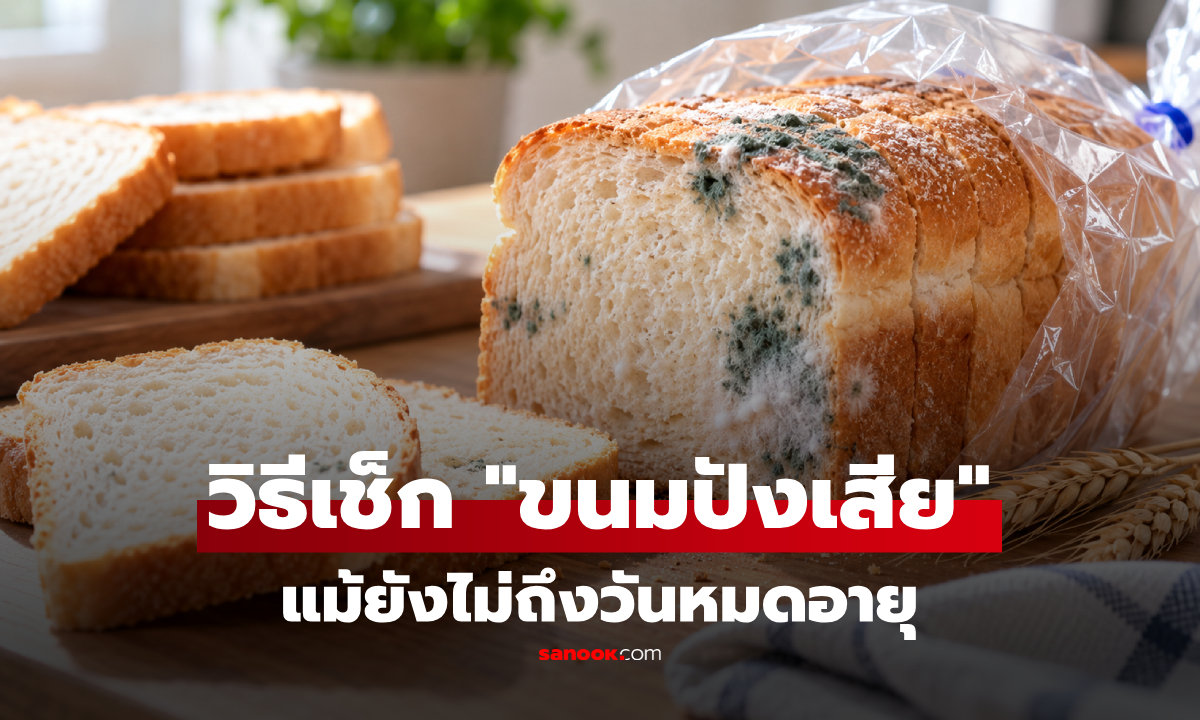 วิธีเช็ก "ขนมปังเสีย" แม้ยังไม่ถึงวันหมดอายุ! ตัดส่วนที่เป็นราทิ้งยังกินต่อได้ไหม?