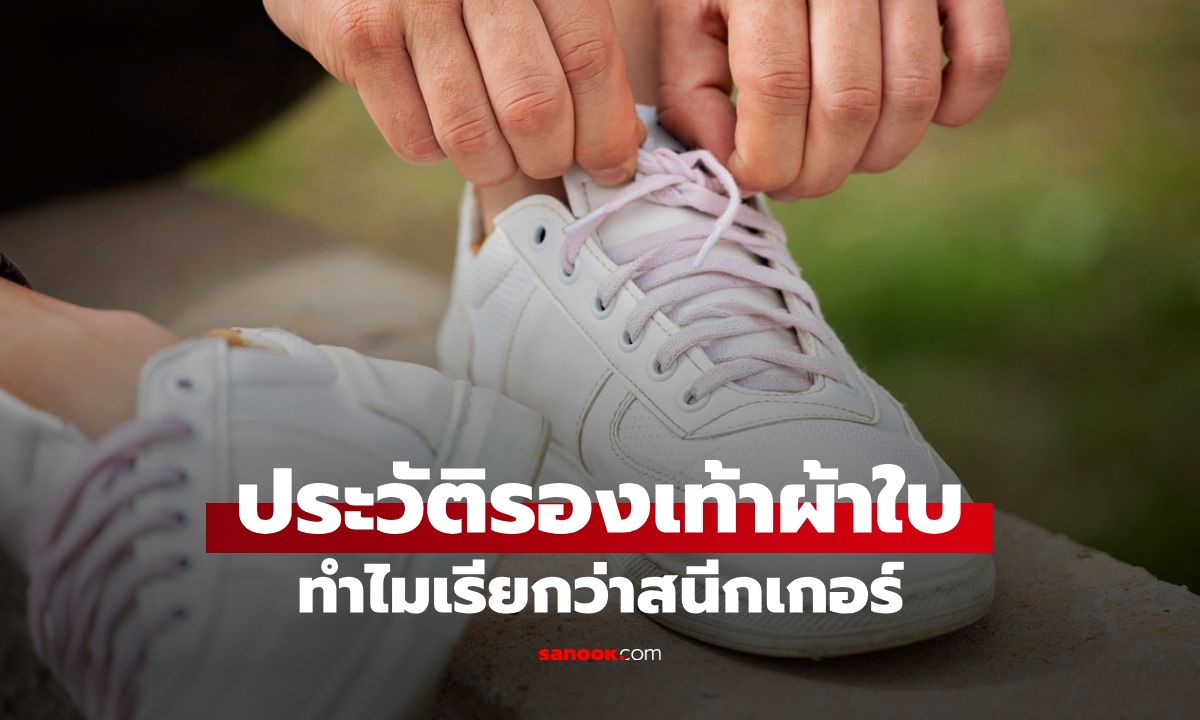 รองเท้าผ้าใบ ทำไมถึงเรียกว่า “สนีกเกอร์” ย้อนจุดเริ่มต้น เกี่ยวอะไรกับการย่องเบา?