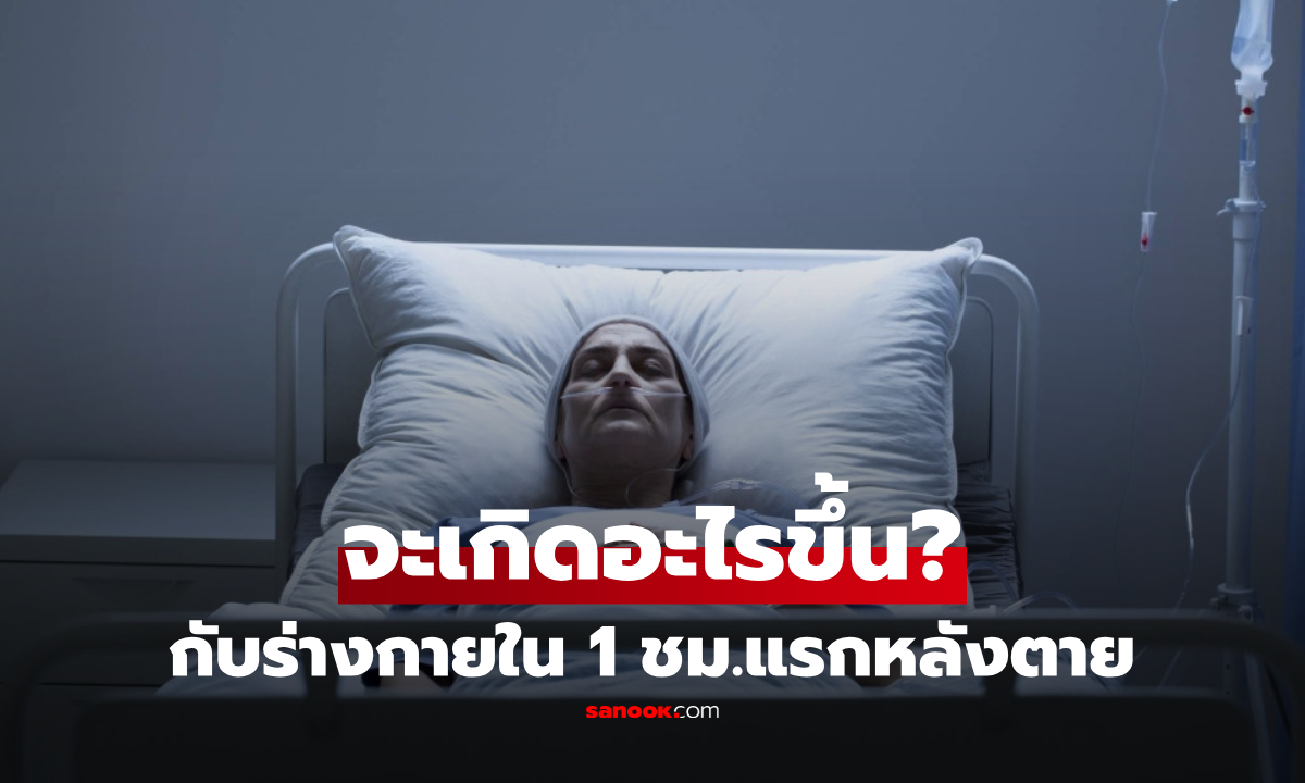 1 ชั่วโมงแรก "หลังเสียชีวิต" เกิดอะไรขึ้นกับร่างกาย? วิทยาศาสตร์เปิดความจริงน่าทึ่ง!