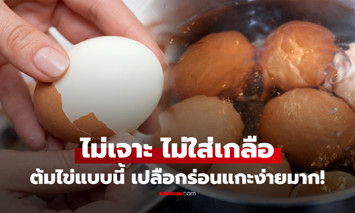 ไม่เจาะ ไม่ใส่เกลือ! ต้มไข่ยังไงให้ปอกง่าย เปลือกร่อน ไข่ยางมะตูมก็ใช้วิธีนี้ได้