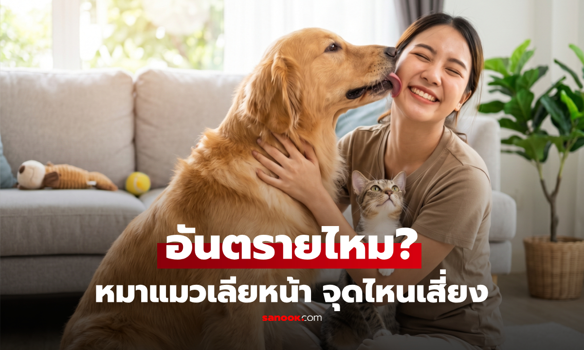 หมา-แมวเลียหน้า อันตรายไหม? เสี่ยงต่างกันอย่างไร เผยจุดไหนต้องระวังพิเศษ