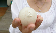 แตกตื่น! "ไข่เป็ดเลข2" แห่ตีเลขเด็ดแทงหวย